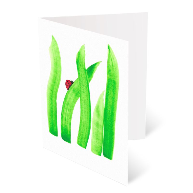 A6 Greeting Cards, Ladybird Pack