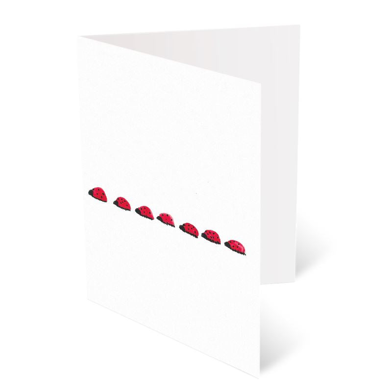 A6 Greeting Cards, Ladybird Pack