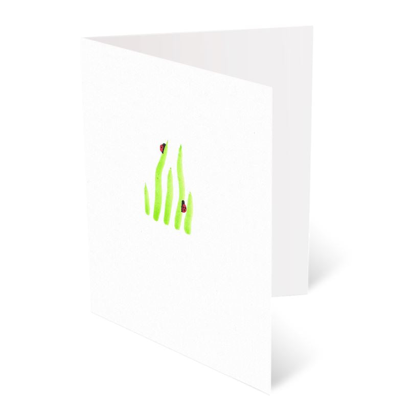 A6 Greeting Cards, Ladybird Pack