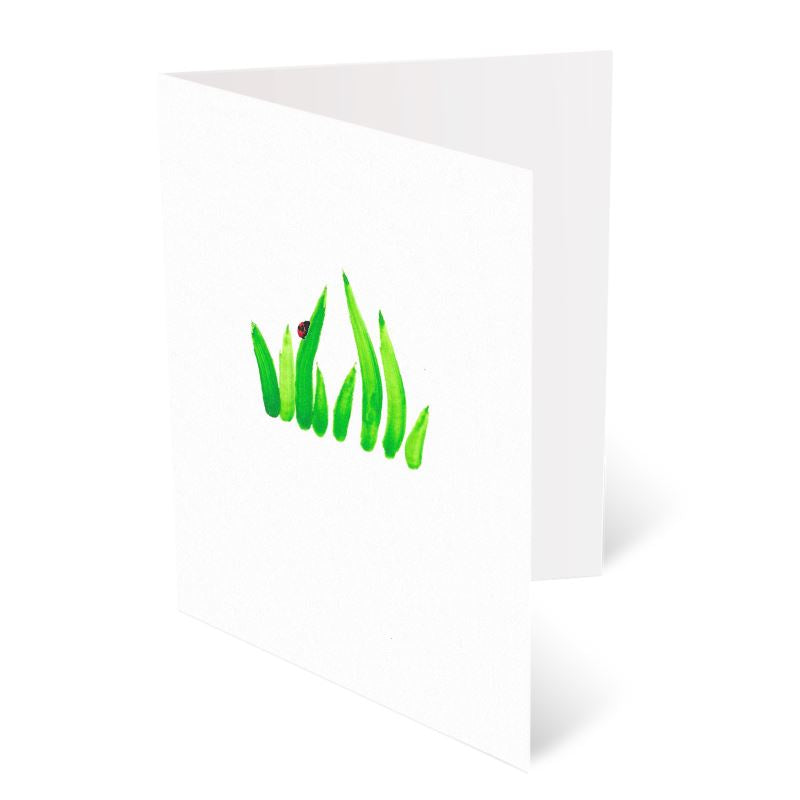 A6 Greeting Cards, Ladybird Pack