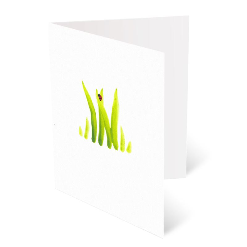 A6 Greeting Cards, Ladybird Pack