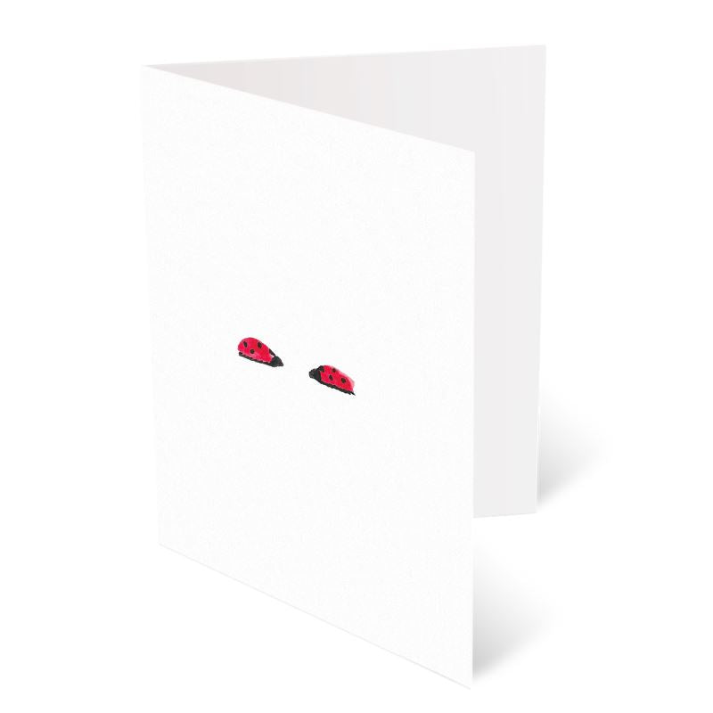 A6 Greeting Cards, Ladybird Pack