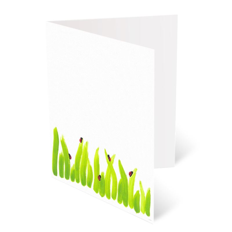 A6 Greeting Cards, Ladybird Pack
