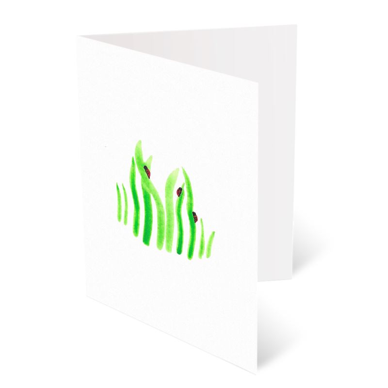 A6 Greeting Cards, Ladybird Pack