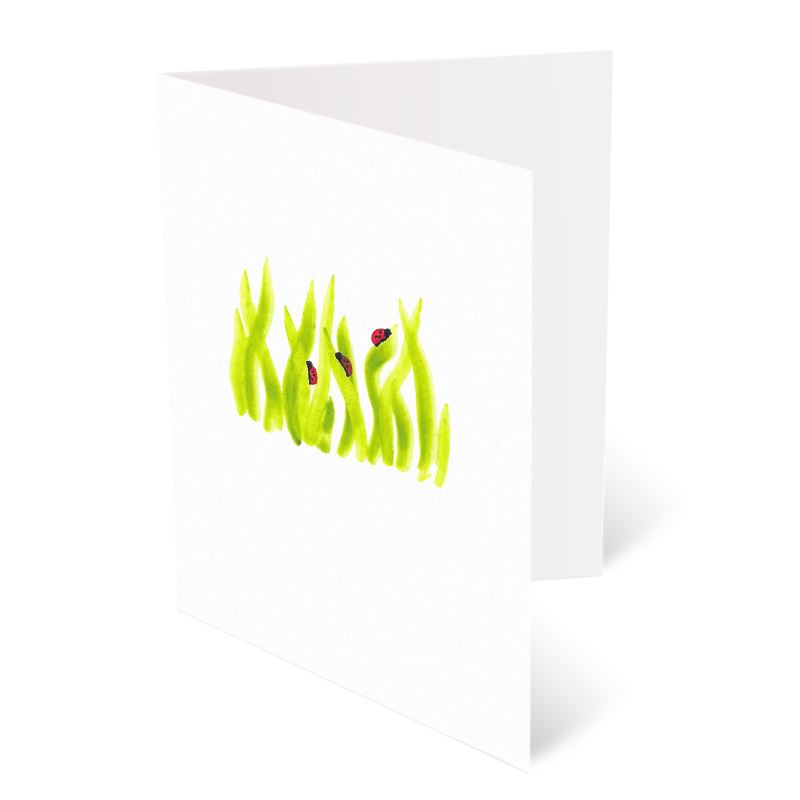 A6 Greeting Cards, Ladybird Pack