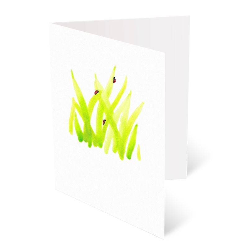 A6 Greeting Cards, Ladybird Pack