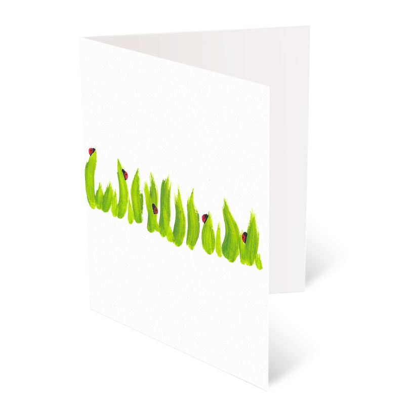 A6 Greeting Cards, Ladybird Pack