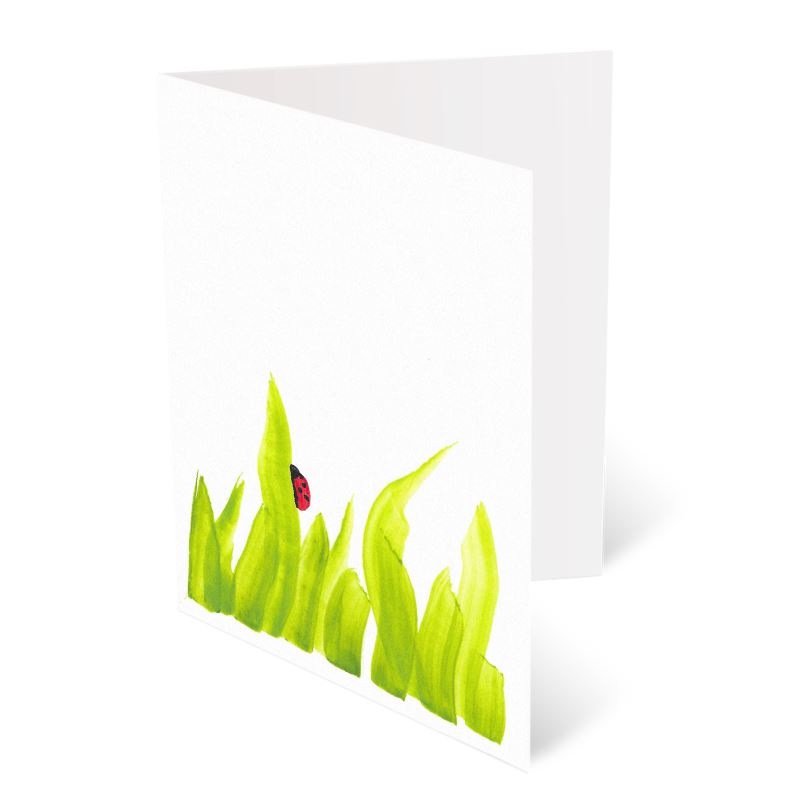 A6 Greeting Cards, Ladybird Pack