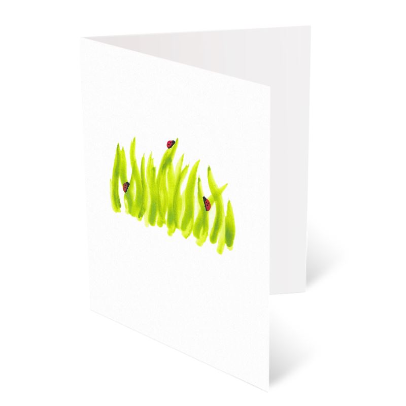 A6 Greeting Cards, Ladybird Pack