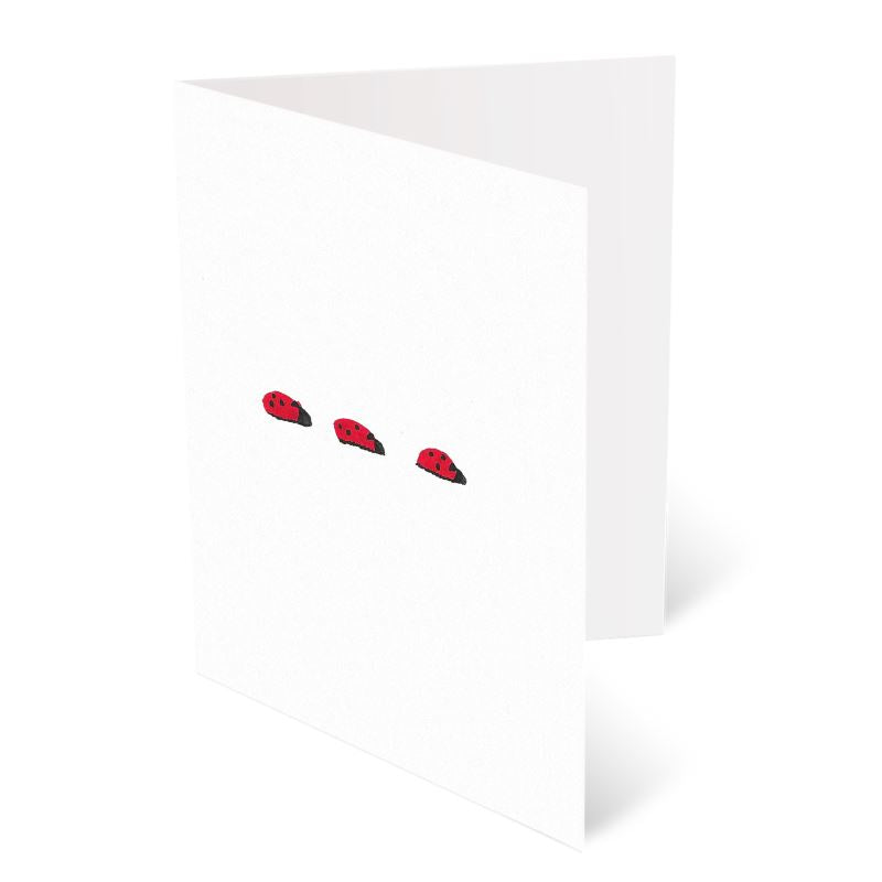 A6 Greeting Cards, Ladybird Pack