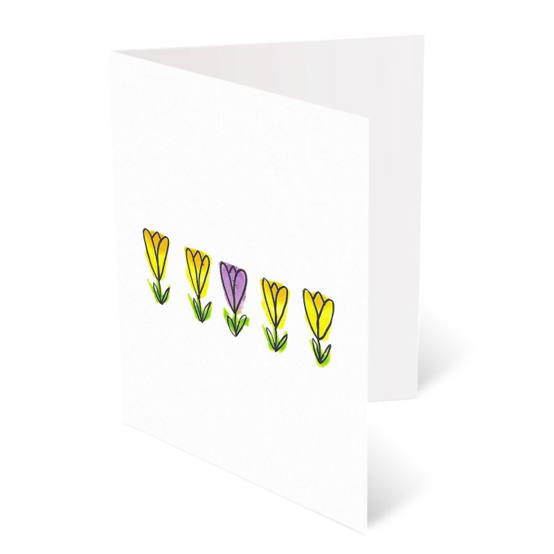 x16 pack A6 Greeting Cards, Tulip and Bumblebee Pack